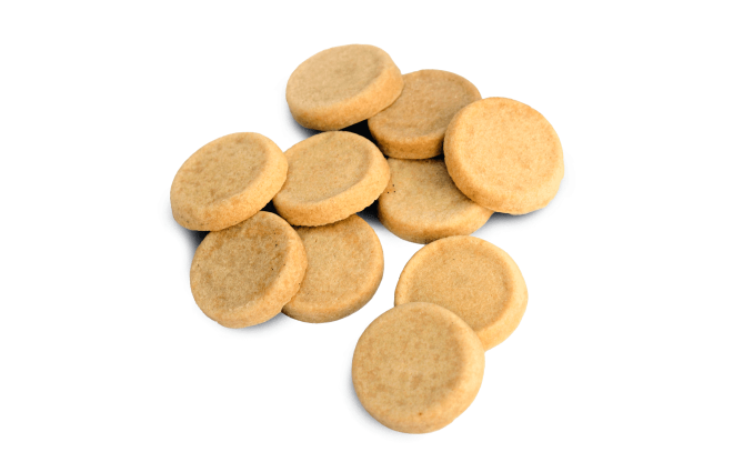 Dog Biscuit